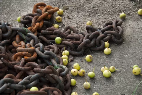 Chain and apples