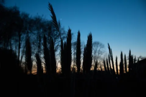 Sundown