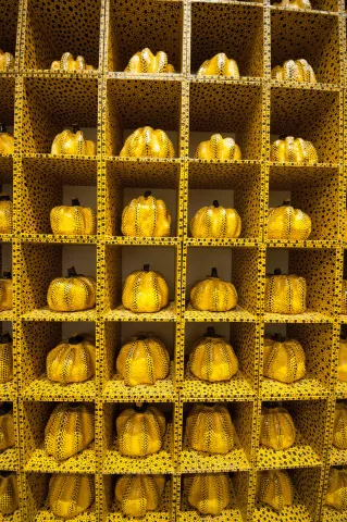 An image from Remebering Kusama