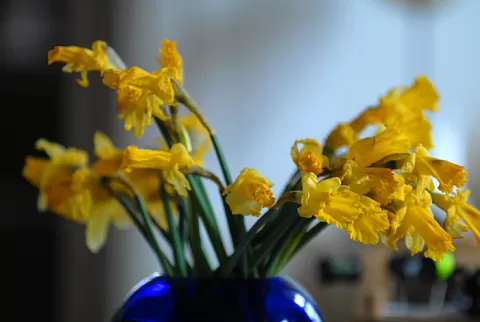 An image from First shots with my new 70-200mm